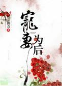 宠妻为后百度