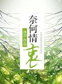 奈何情衷by沐声