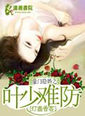 豪门隐婚之叶少难防番外