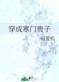 穿成寒门贵子的