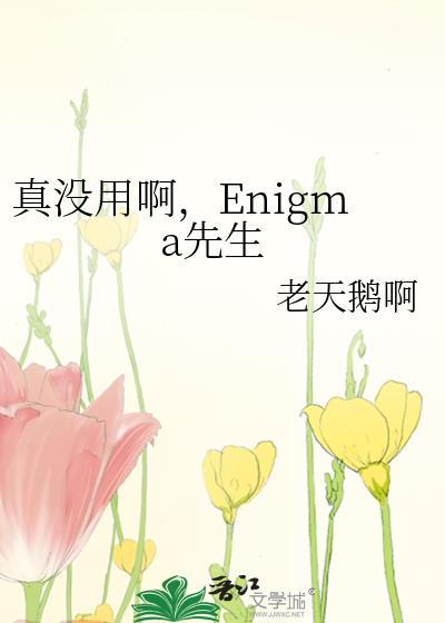真没用啊 enigma