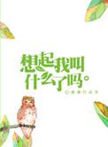 书名 想起我叫什么了吗