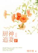 厨神追妻记百度