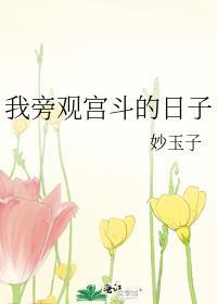 我旁观宫斗的日子TXT