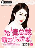 冷情总裁宠暖妻