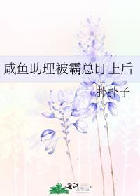 这个杀手不太冷[综英美