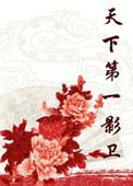 天下第一影卫百度