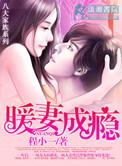 暖妻成瘾韩禛追妻免费阅读
