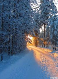 归路免费观看策驰影院