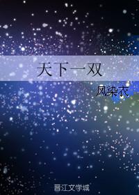 天下一双 聚合中文网