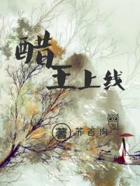 醋王上线十七