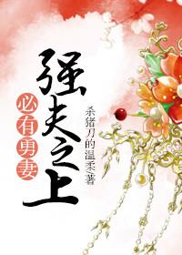 强夫之上必有勇妻TXT奇书网