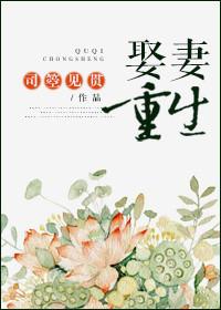 娶妻之后我重生
