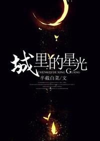 城里的星光txt