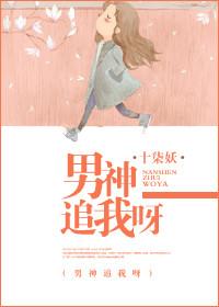 男神追妻指南免费阅读