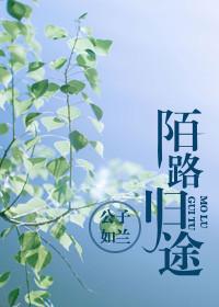 陌路归途双男主短剧免费观看