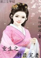 重生之奸佞