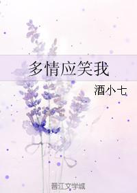 多情应笑我多情的意思