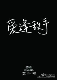 爱逢敌手txt