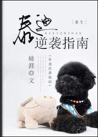 泰迪逆袭指南第三期完整版