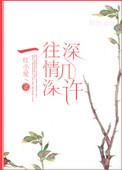 一往情深深几许全集