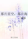 电视剧那片星空那片海2