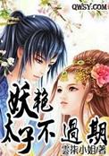 妖皇太子txt