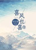喜风是哪部电视剧