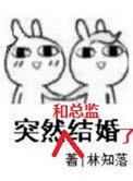 突然和总监结婚了全文阅读