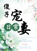 傻妻轻轻宠