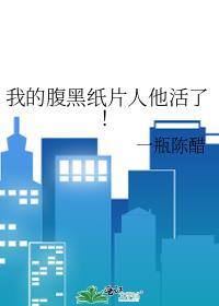 我的腹黑先生