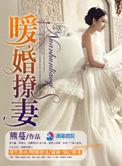 霸道总裁的暖婚新妻