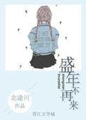 盛年不再来晋江