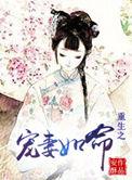 重生宠妻如命免费阅读