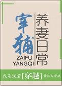 宰辅养妻日常完整版