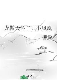 龙傲天怀了只小凤凰免费阅读