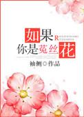 如果你是菟丝花(重生)作者袖侧