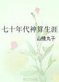 七十年代神算生涯96章