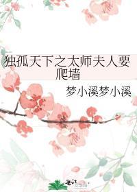 独孤天下太师的妻子