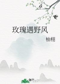 玫瑰遇野风by柚栩免费阅读