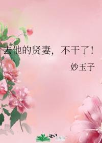 去他的贤妻不干了txt百度