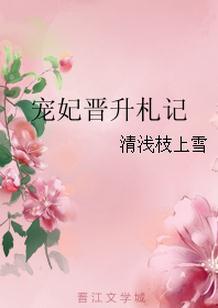 宠妃晋升记久久
