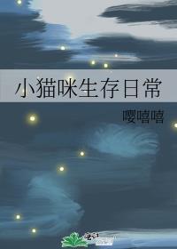 小猫生活记