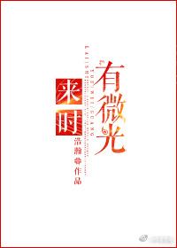 来时有微光出版番外婚礼