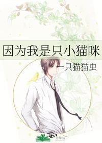 因为我是只小猫咪笔趣阁一只猫猫虫