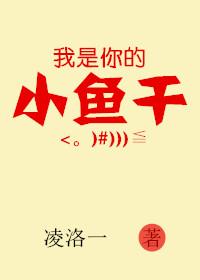 你是我的小鱼儿歌词