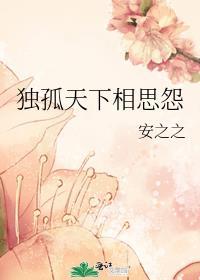 yγ6080独孤天下