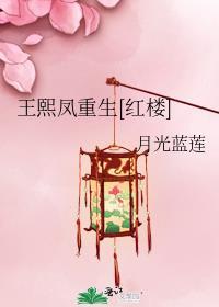 王熙凤穿越重生文