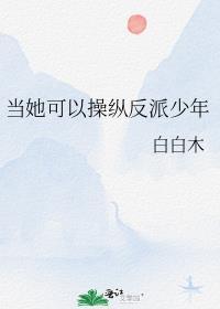 当她可以操纵反派少年时笔趣阁