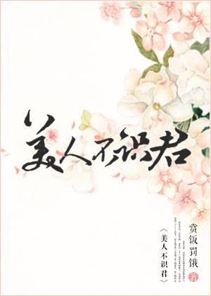 美人不识君全文阅读免费无弹窗